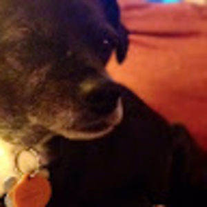 Meet your Posher, Katy